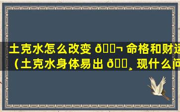 土克水怎么改变 🐬 命格和财运（土克水身体易出 🌸 现什么问题）